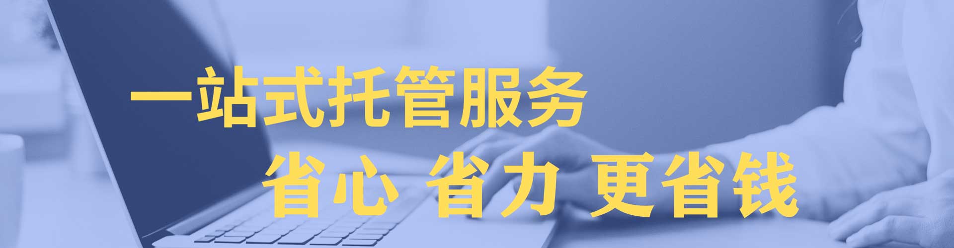 紫金竞价代运营